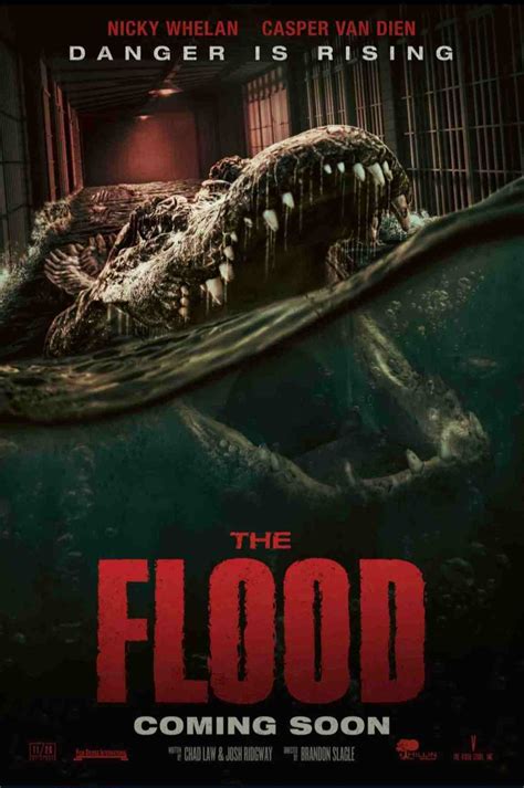 the flood tsrip
